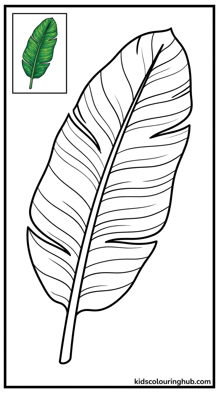 A long tropical banana leaf outline