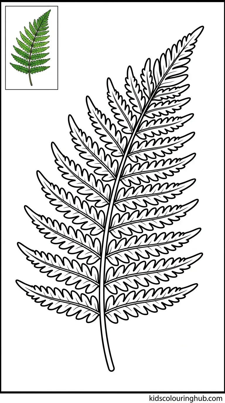A detailed line art illustration of a birch leaf