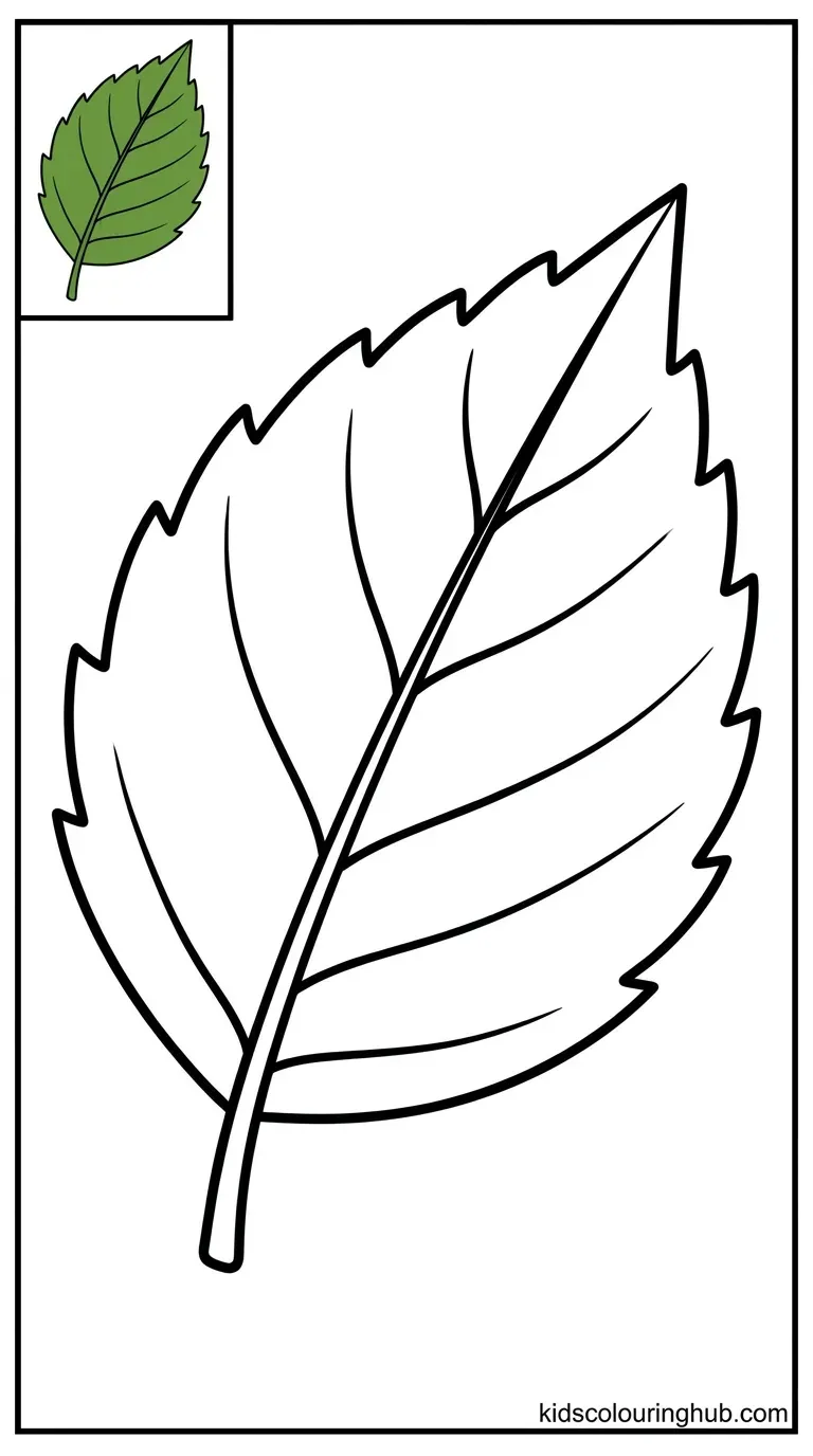 A detailed line art drawing of a fern frond