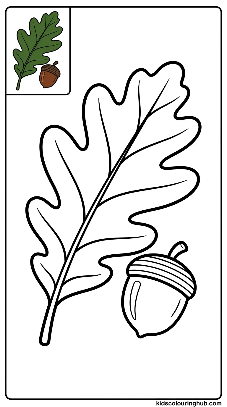 A line art drawing of an oak leaf and a small acorn