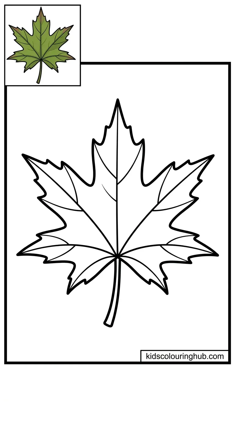 A star-shaped Sweetgum leaf line art